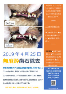 20190206