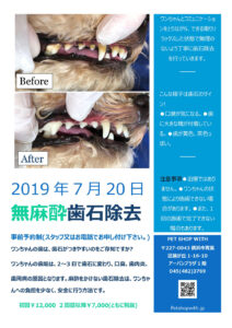 20190522