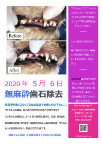 20200220_001