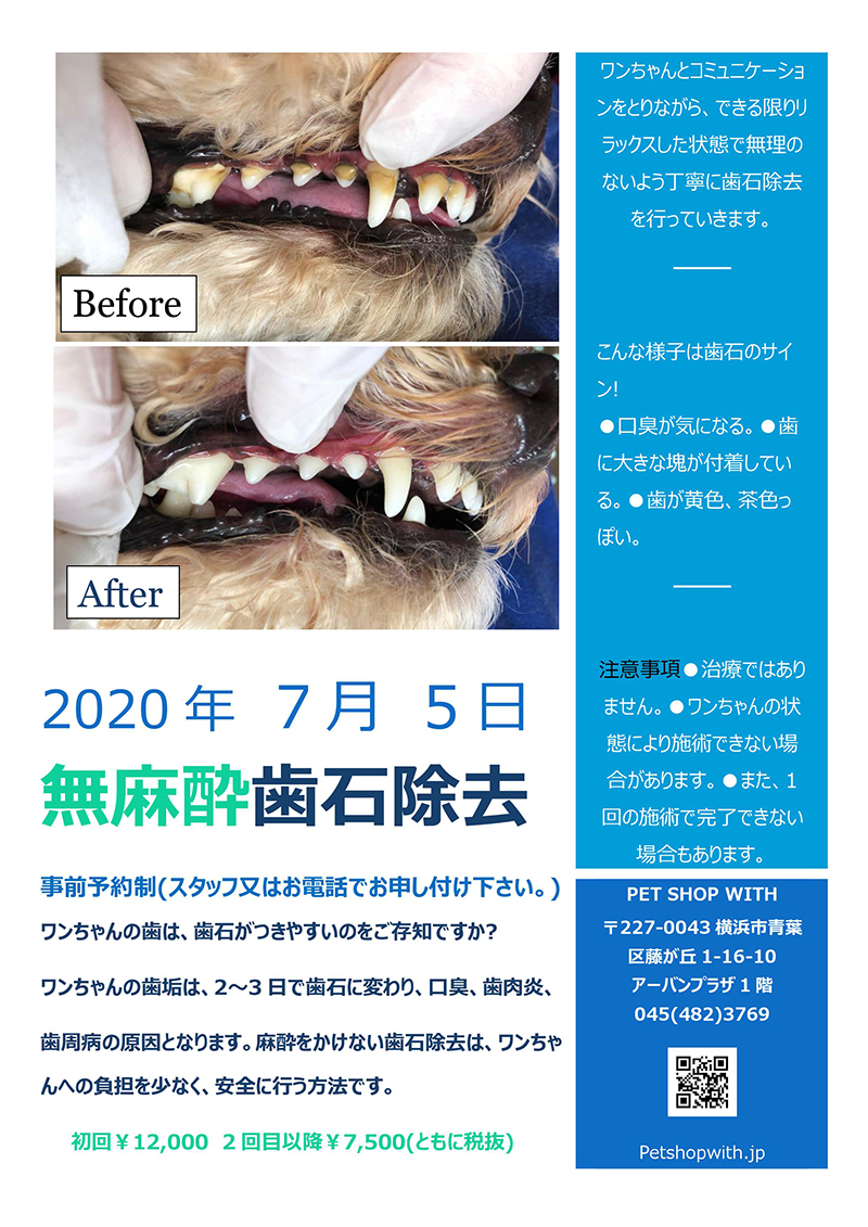 2020年5月6日