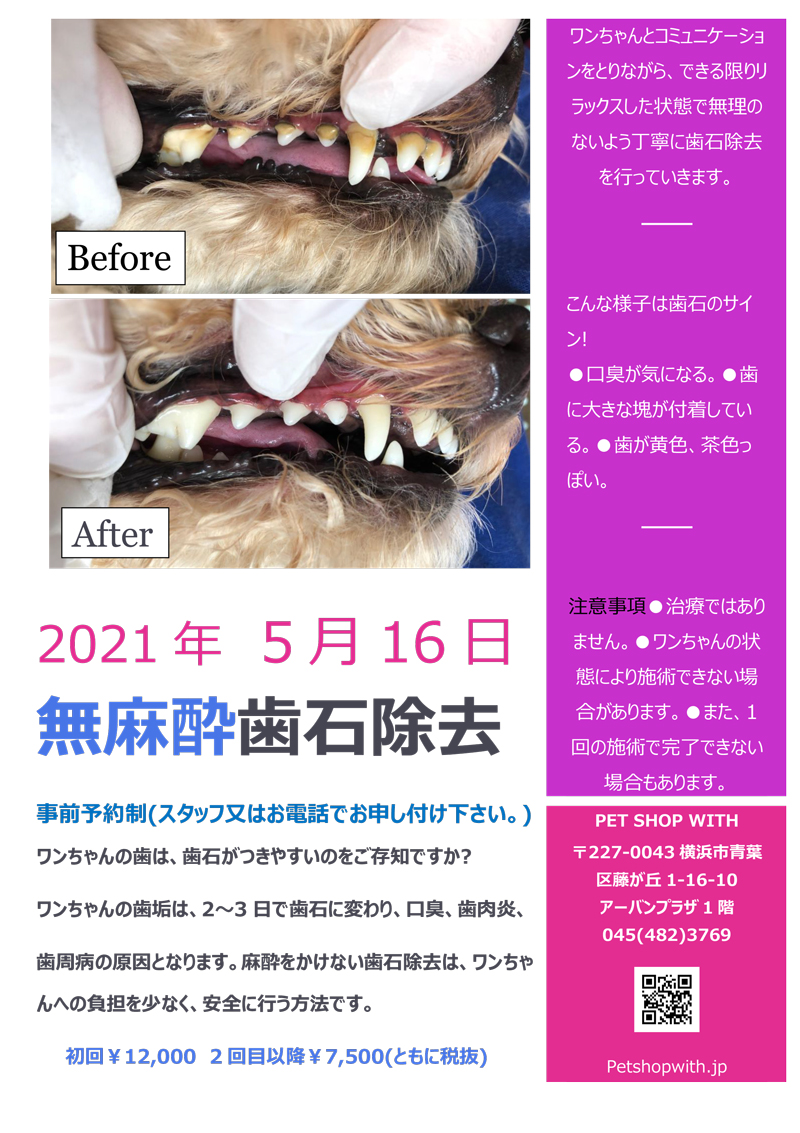 2021年5月16日