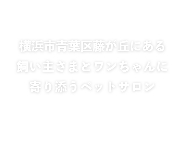 株式会社NaNaコーポレーション